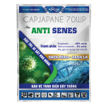 SAN-ANTI SENES
